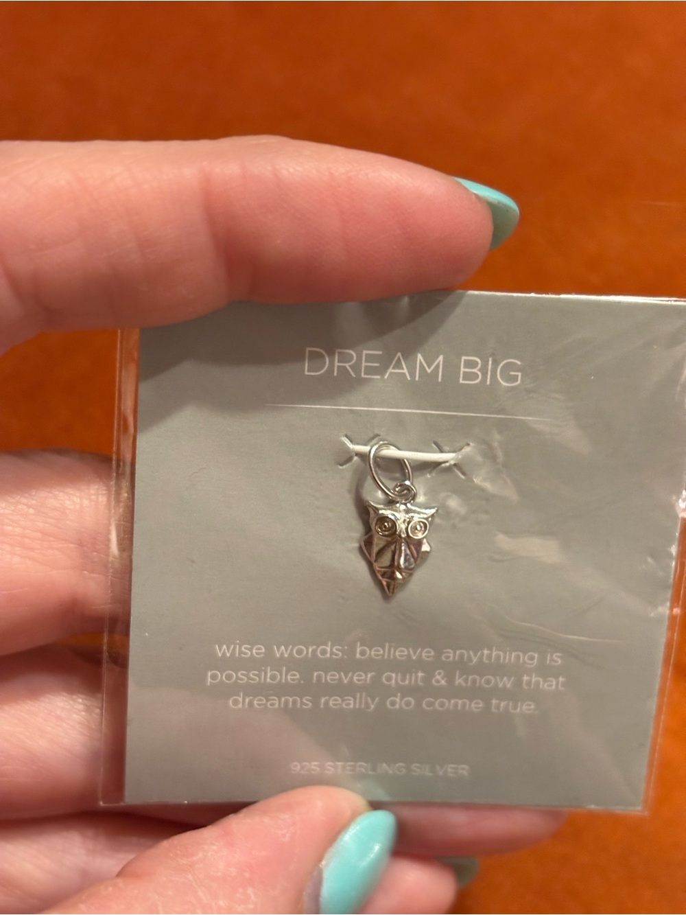 Origami Owl Sterling Silver Owl Charm